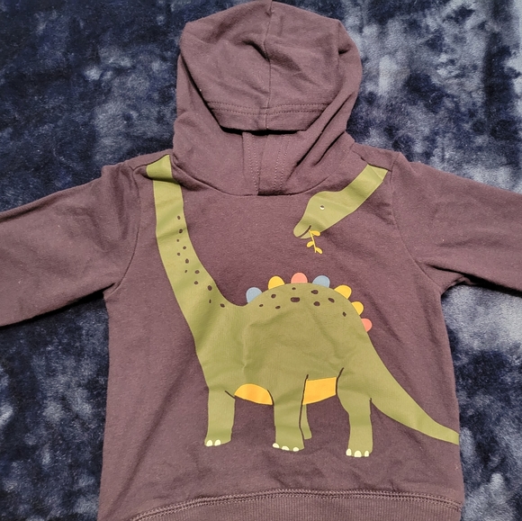 Carter's Hoodie - Picture 2 of 2